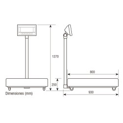 bascula-industrial-plataforma-baxtran-bfs-de-300-a-600-kg
