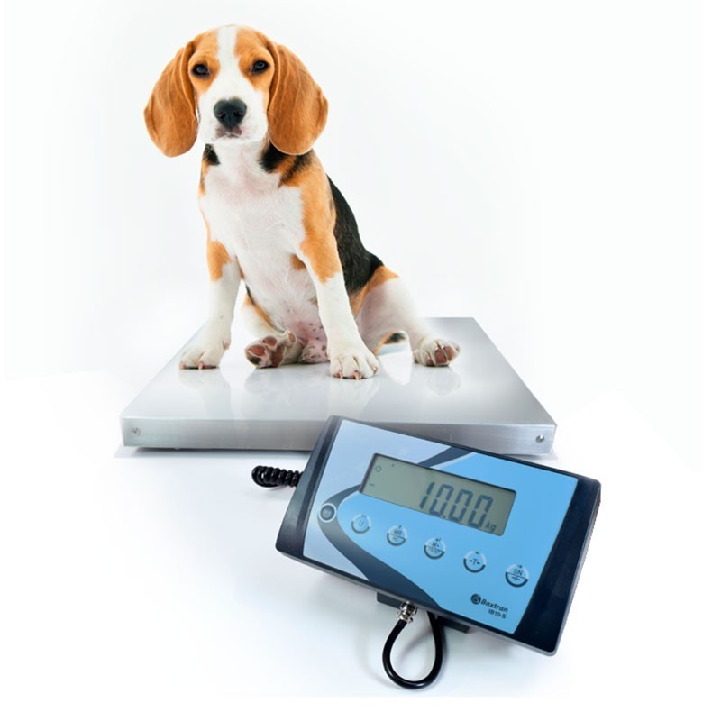 bascula-baxtran-ais-de-15-a-300-kg-01 bascula-baxtran-ais-de-15-a-300-kg-01