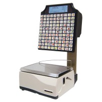 balanza-comercial-autoservicio-epelsa-jupiter-ss-110t