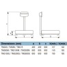 bascula-industrial-plataforma-baxtran-tmm-de-30-a-600-kg